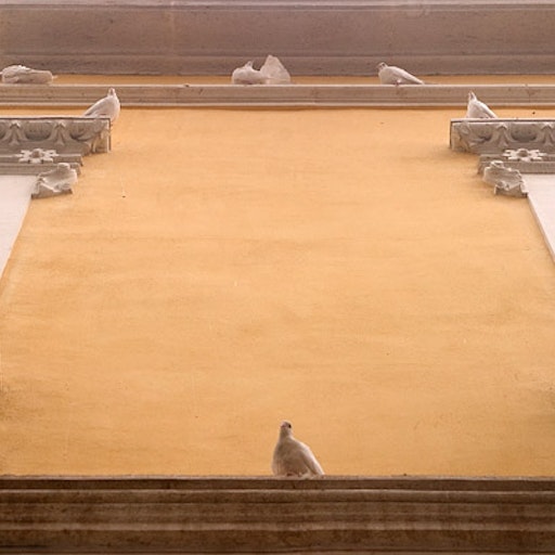 Open «Pigeons in Alicante» Thumbnail of the picture «Pigeons in Alicante»