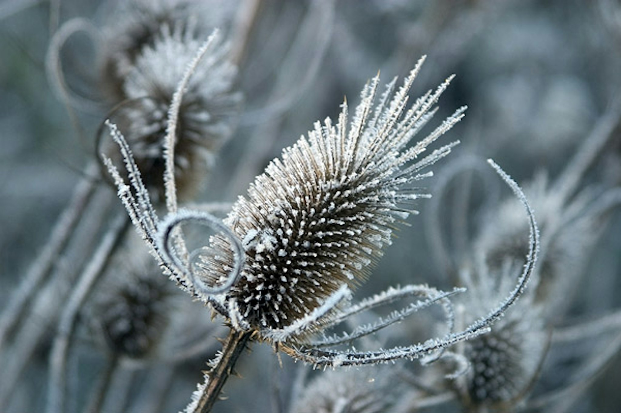 Ad inverno iniziato