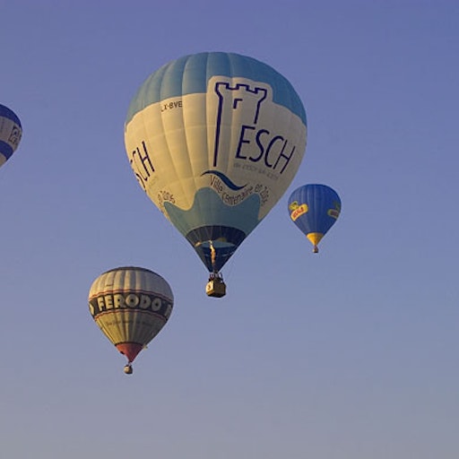 Miniatura della fotografia successiva