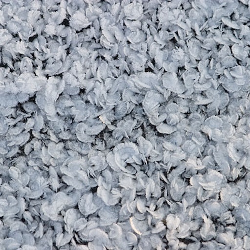 Miniatura della fotografia successiva