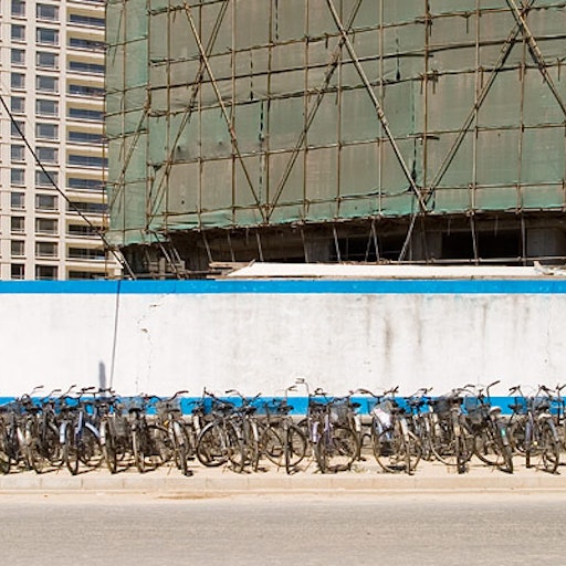 Open «All along the way» Thumbnail of the picture «All along the way»