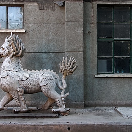 Miniatura della fotografia successiva