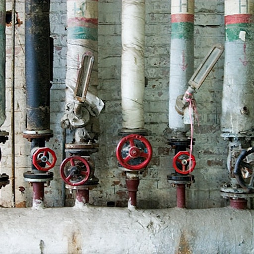 Miniatura della fotografia successiva