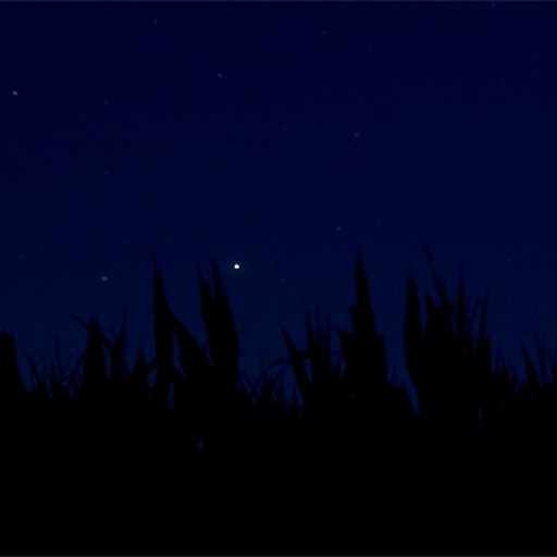 Open «Almost night» Thumbnail of the picture «Almost night»