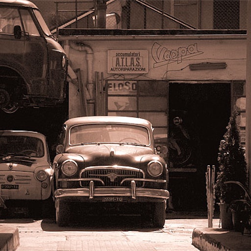 Miniatura della fotografia successiva