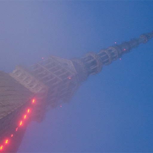 Miniatura della fotografia «Là, dritta nella nebbia, c'è»