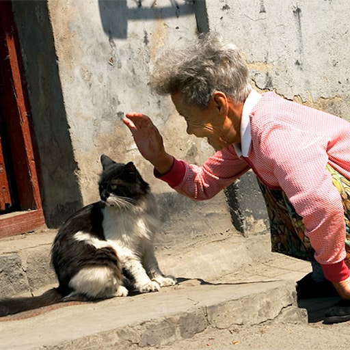 Miniatura della fotografia «Grandmas of China»