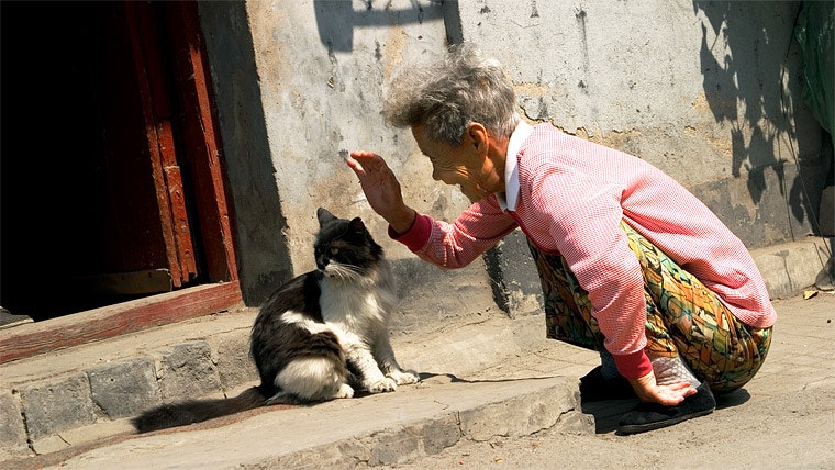 An elderly woman kneeling to pet a black cat.