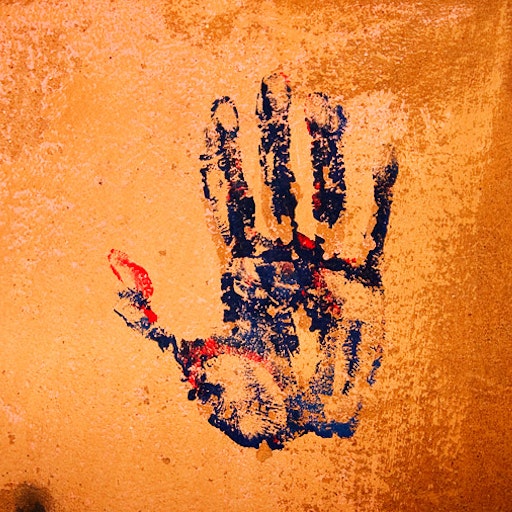 Miniatura della fotografia precedente