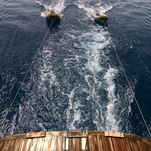 Miniatura della fotografia successiva