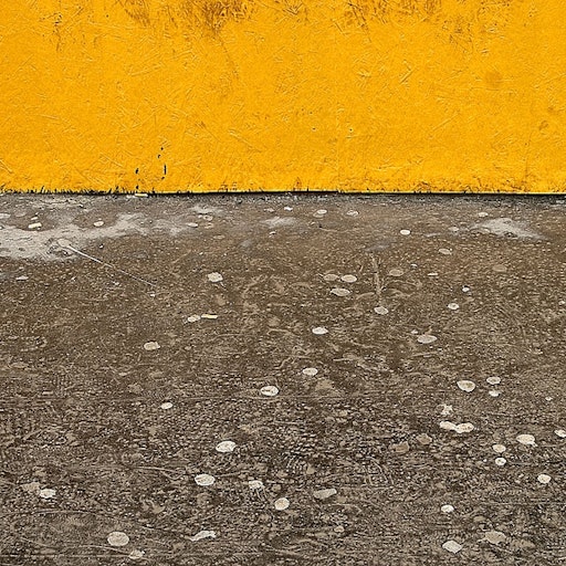 Miniatura della fotografia successiva