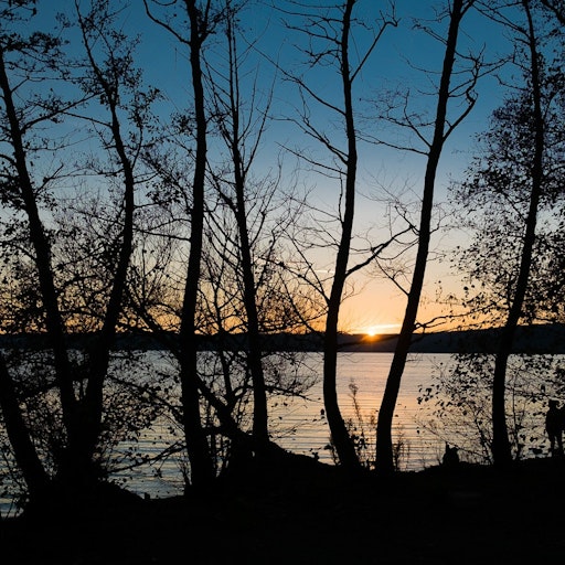 Miniatura della fotografia precedente