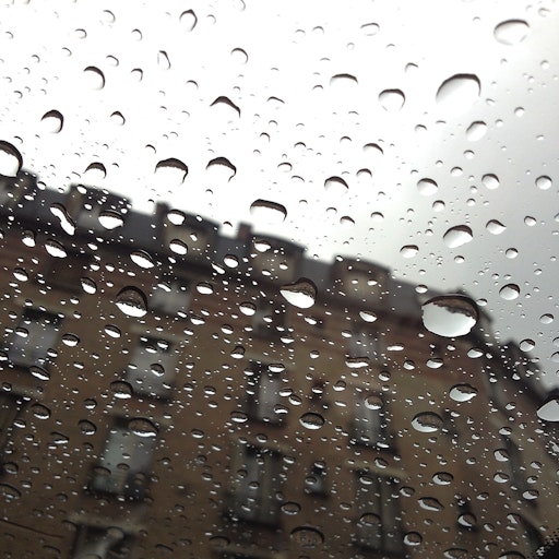 Miniatura della fotografia precedente