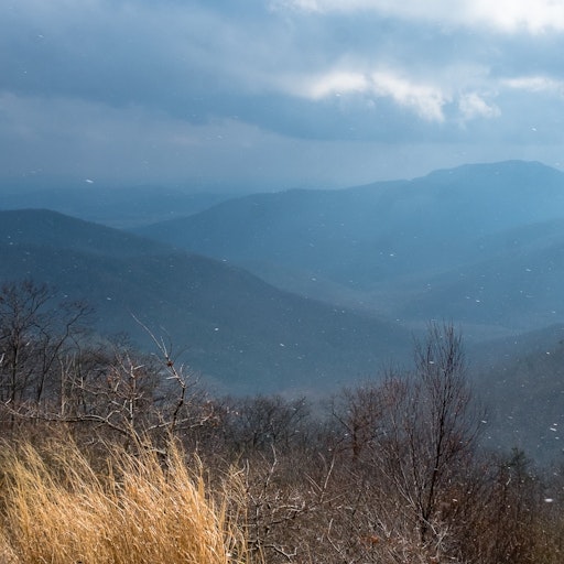 Miniatura della fotografia «Dentro Shenandoah»