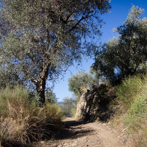 Miniatura della fotografia precedente