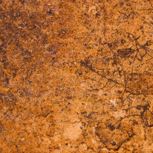 Miniatura della fotografia precedente