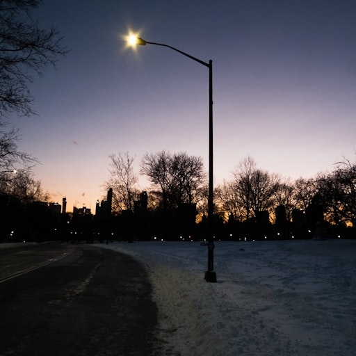 Miniatura della fotografia «Central Park, Manhattan, New York»