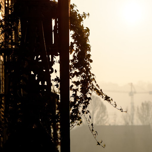 Miniatura della fotografia successiva