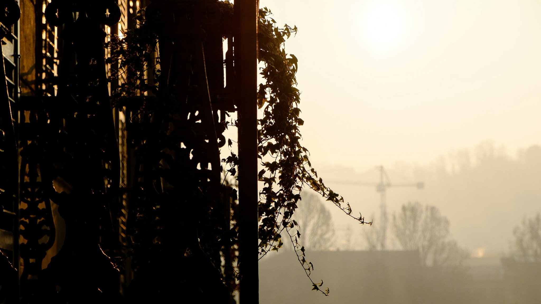 Torino, certe mattine