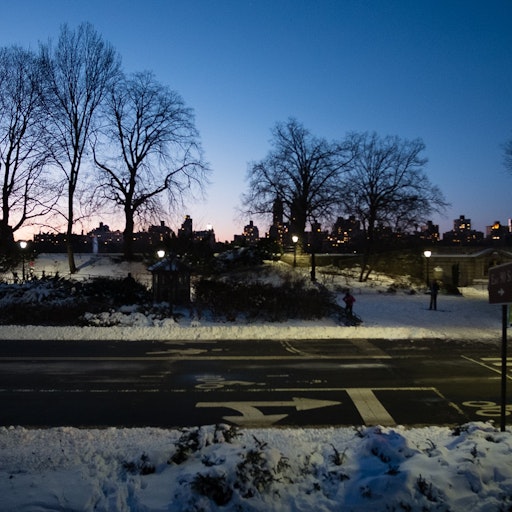 Miniatura della fotografia successiva