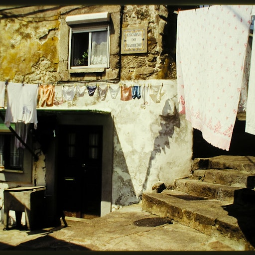 Miniatura della fotografia precedente