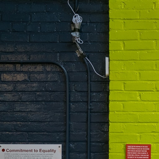 Miniatura della fotografia successiva