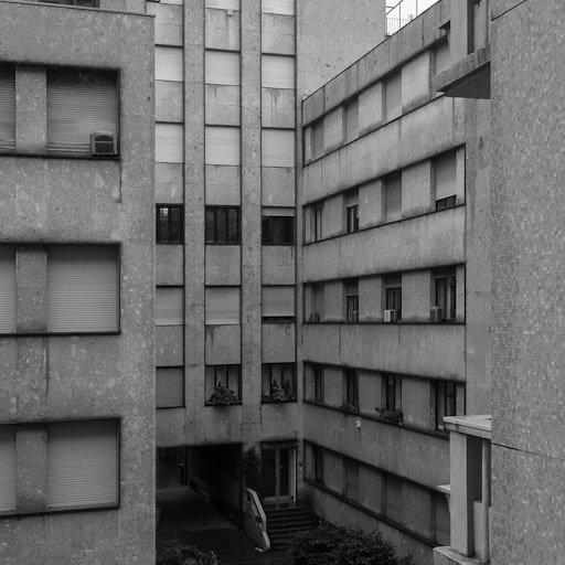 Miniatura della fotografia successiva