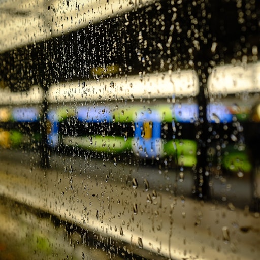 Miniatura della fotografia successiva