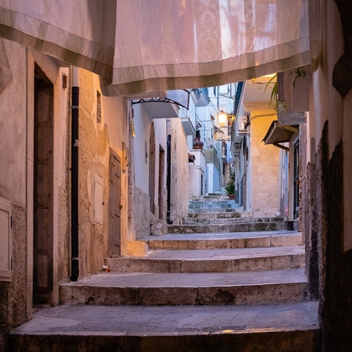 Miniatura della fotografia successiva