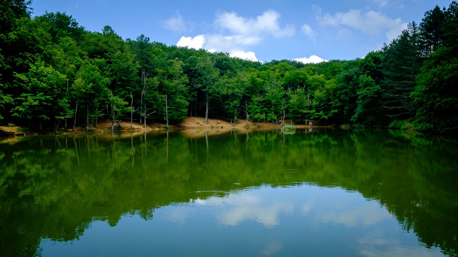 A serene lake scene with a reflection on the water, trees, and sky.