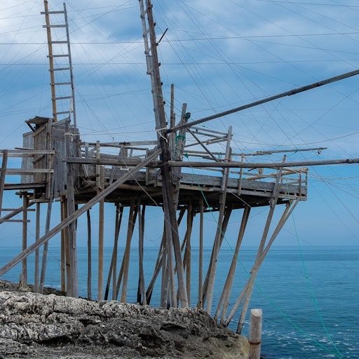 Miniatura della fotografia precedente