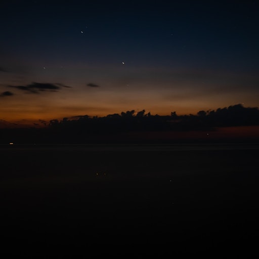 Miniatura della fotografia successiva