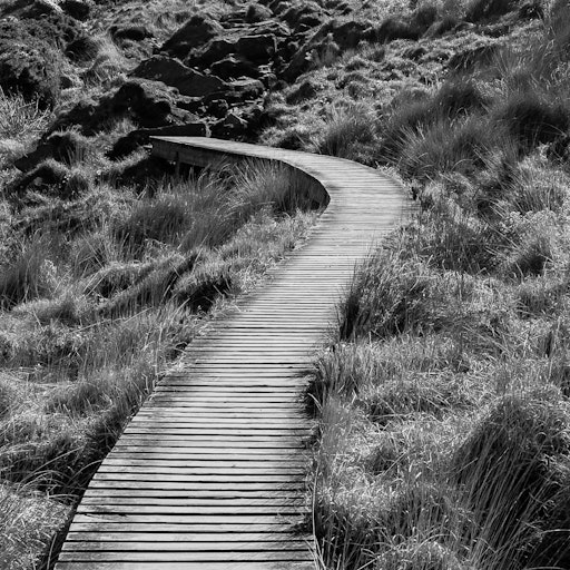 Open «Walking Cornwall» Thumbnail of the picture «Walking Cornwall»