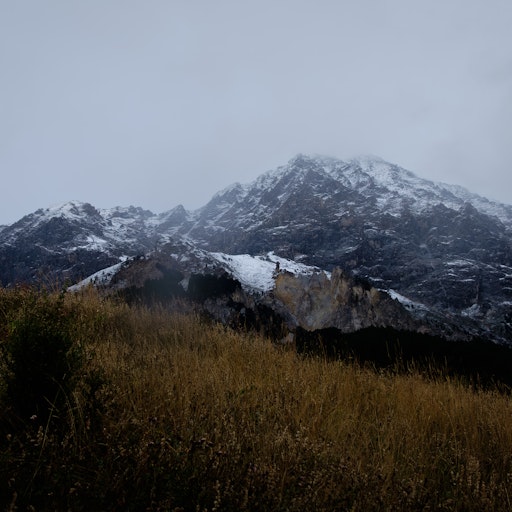 Miniatura della fotografia successiva