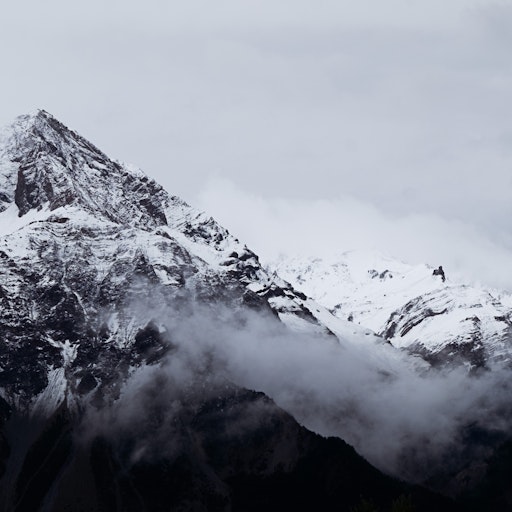 Miniatura della fotografia successiva