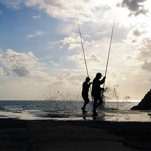 Miniatura della fotografia precedente
