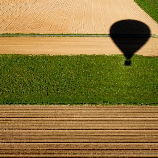 Miniatura della fotografia successiva