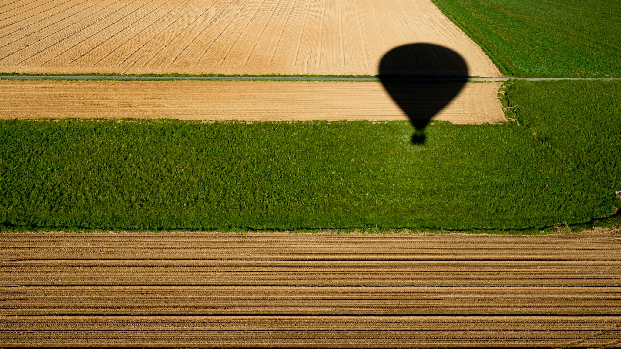 Una palla da caldo volante sopra un campo colto di frumenti.