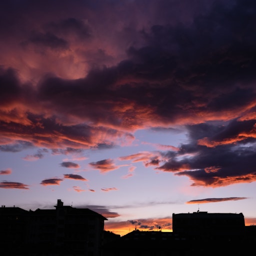 Miniatura della fotografia successiva