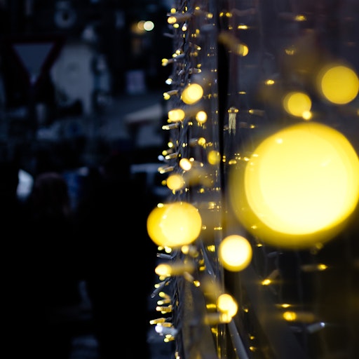 Miniatura della fotografia precedente