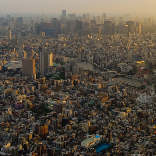 Miniatura della fotografia successiva