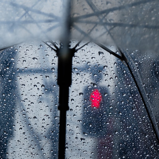 Miniatura della fotografia successiva