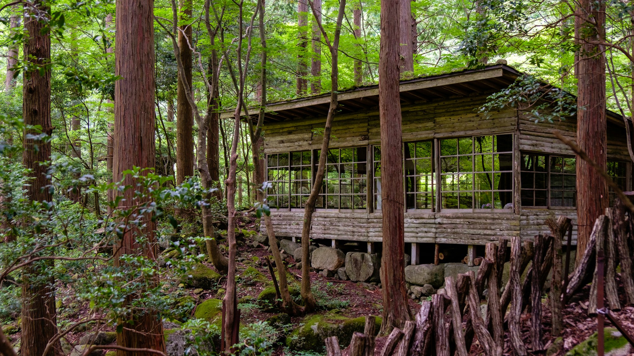 A rustic wooden cabin surrounded by lush green forest, featuring large windows and a stone foundation, nestled in an idyllic, serene woodland setting.