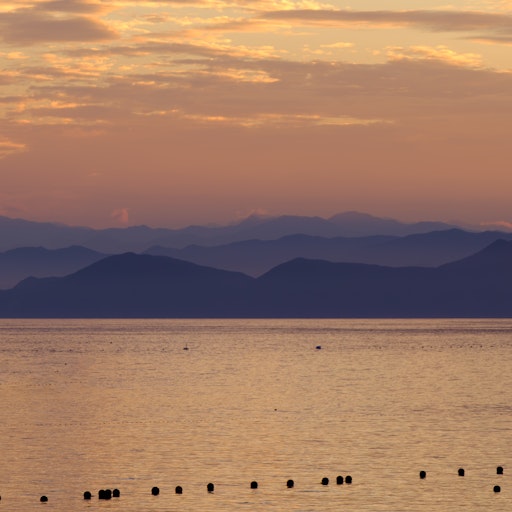 Miniatura della fotografia precedente