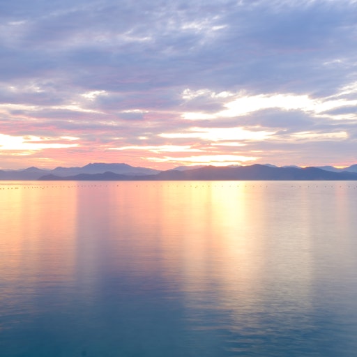 Miniatura della fotografia successiva