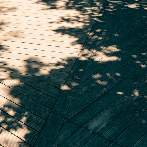 Miniatura della fotografia precedente