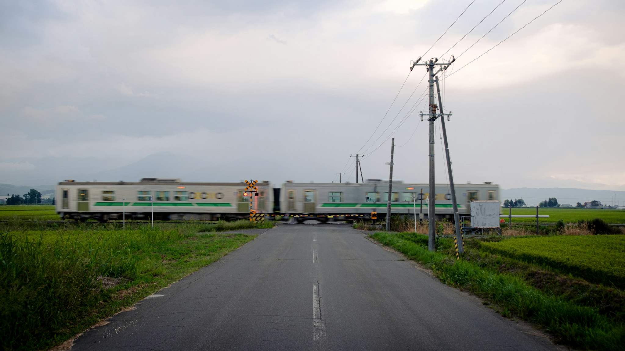 A green and white passenger train crosses a rural railroad intersection on a cloudy day, surrounded by lush green fields and tall power lines, under a slightly overcast sky.