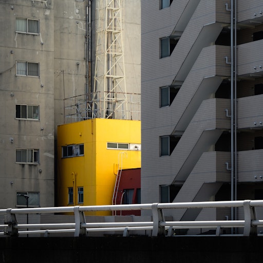 Miniatura della fotografia successiva