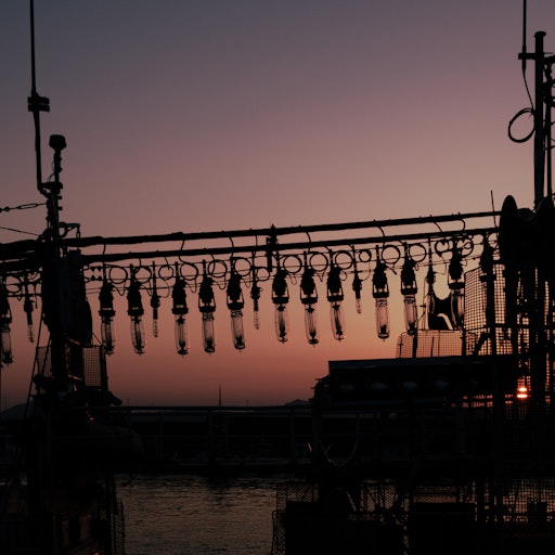 Miniatura della fotografia successiva