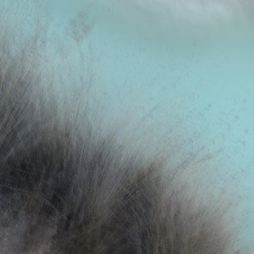 Miniatura della fotografia successiva